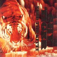 Shy Tiger : Feed The Tiger. Album Cover