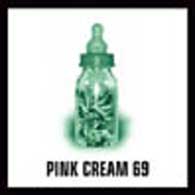 Pink Cream 69 : Food For Thoughts. Album Cover