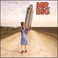 Mr. Big : Actual Size. Album Cover