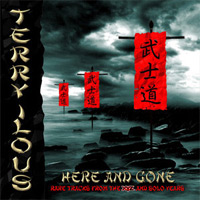 Ilous, Terry : Here and Gone. Album Cover